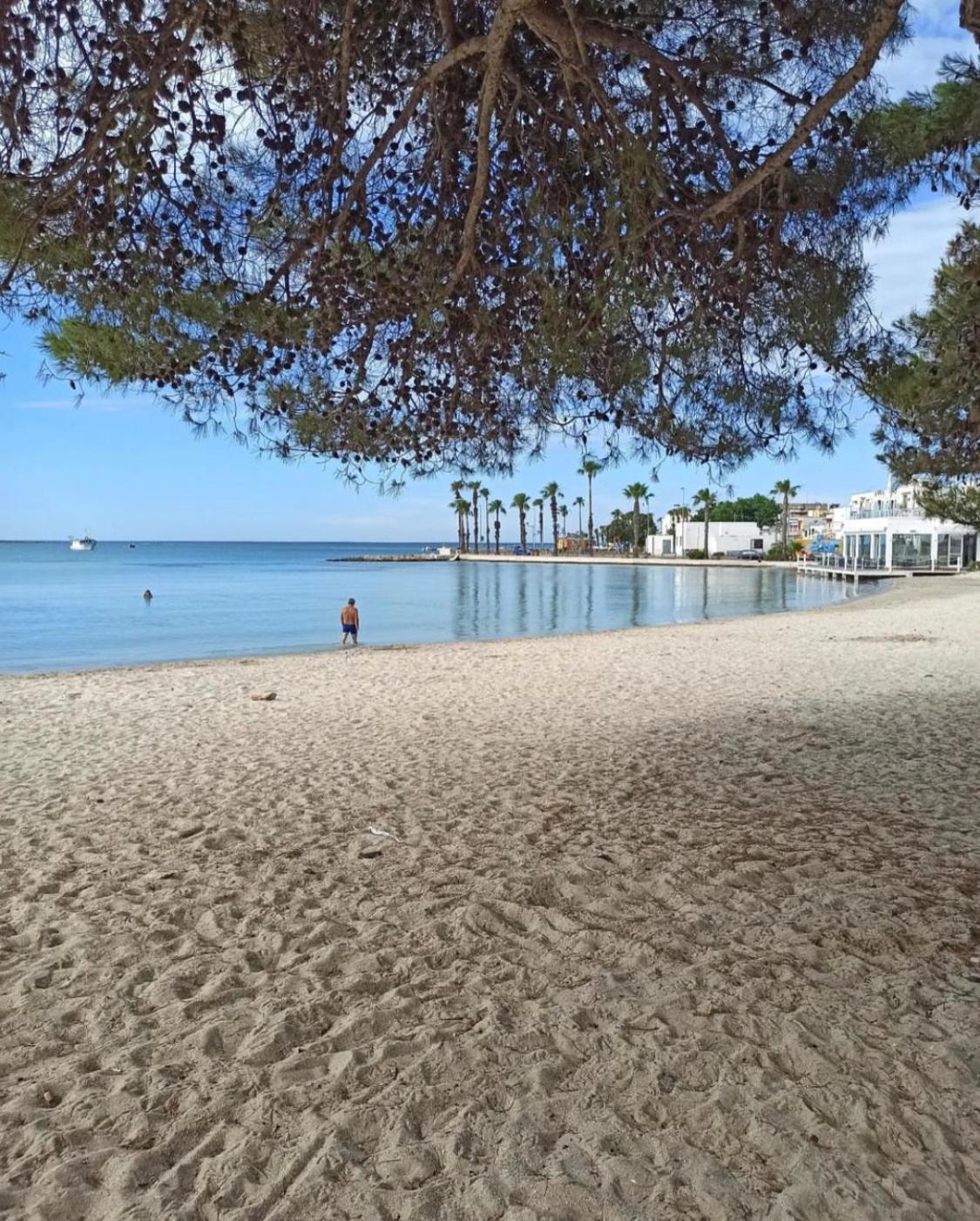 Viva Vista Mare Trilo Primo Piano Apartment Порто Чезарео Екстериор снимка